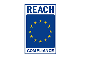 REACH logo